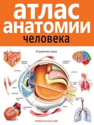 Атлас анатомии человека. В. Б. Марысаев