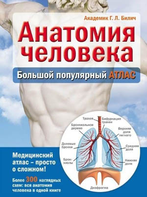 Анатомия человека. Большой популярный атлас. Габриэль Билич