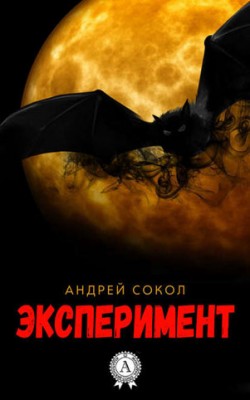 Эксперимент. Андрей Сокол